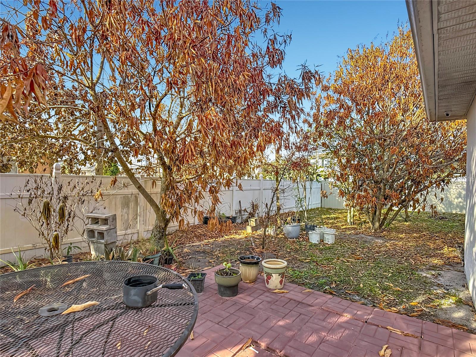 Image 45 of 54 For 1910 Dolphin Drive