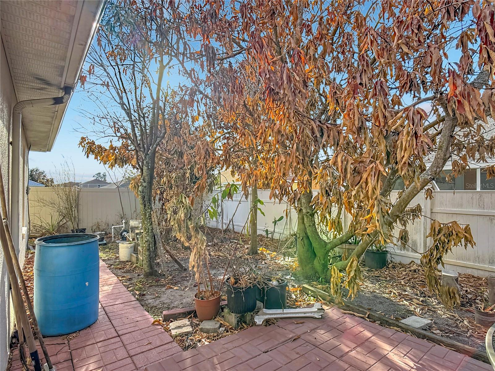 Image 46 of 54 For 1910 Dolphin Drive