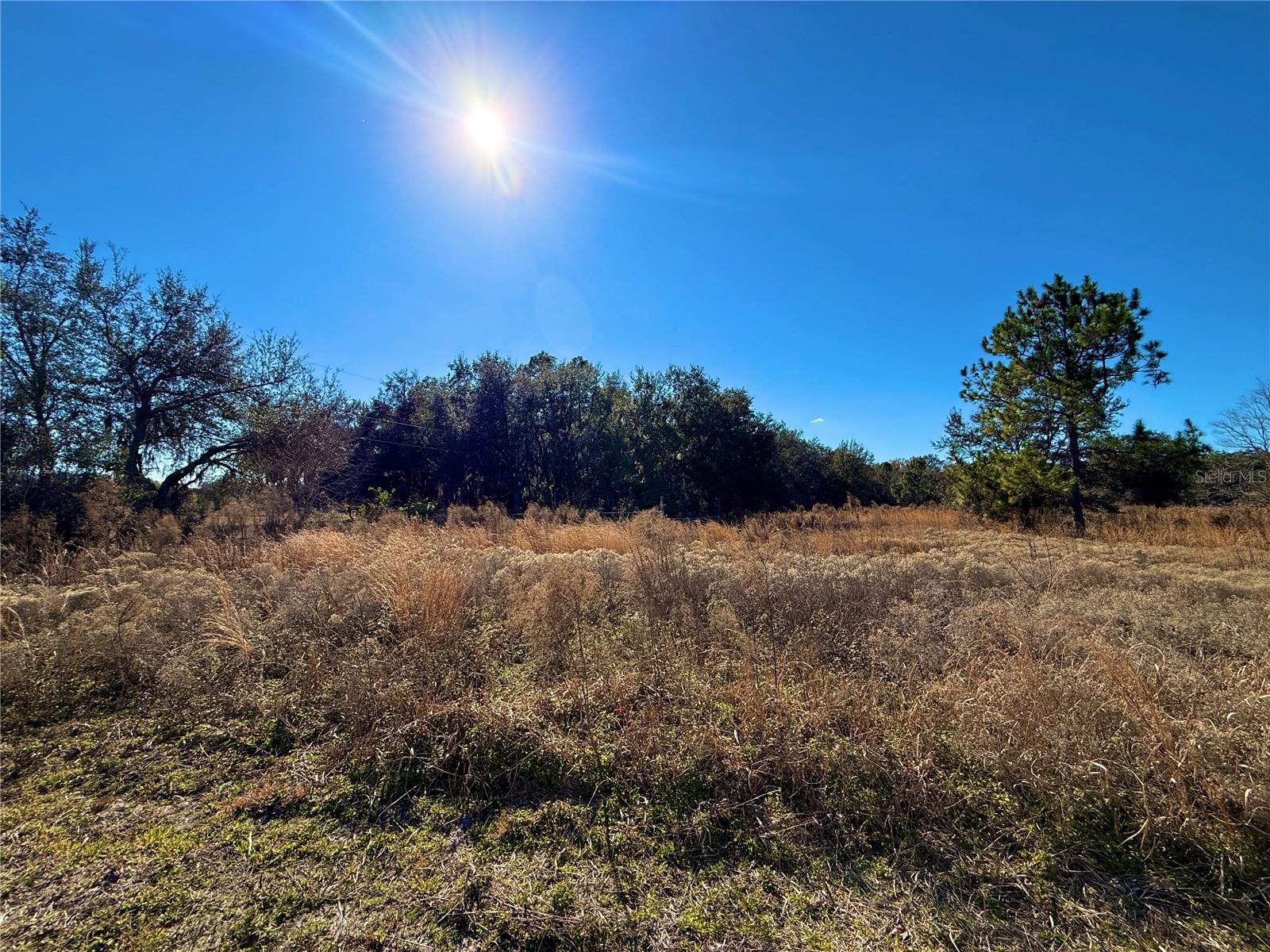 Details for 2546 & 2586 Beresford Avenue, DELAND, FL 32720