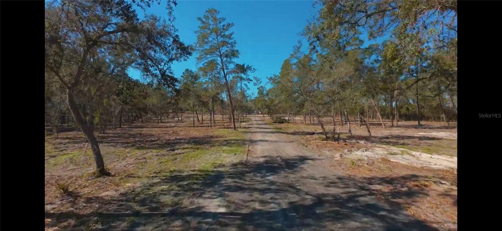 Image 28 of 31 For 32325 State Road 44