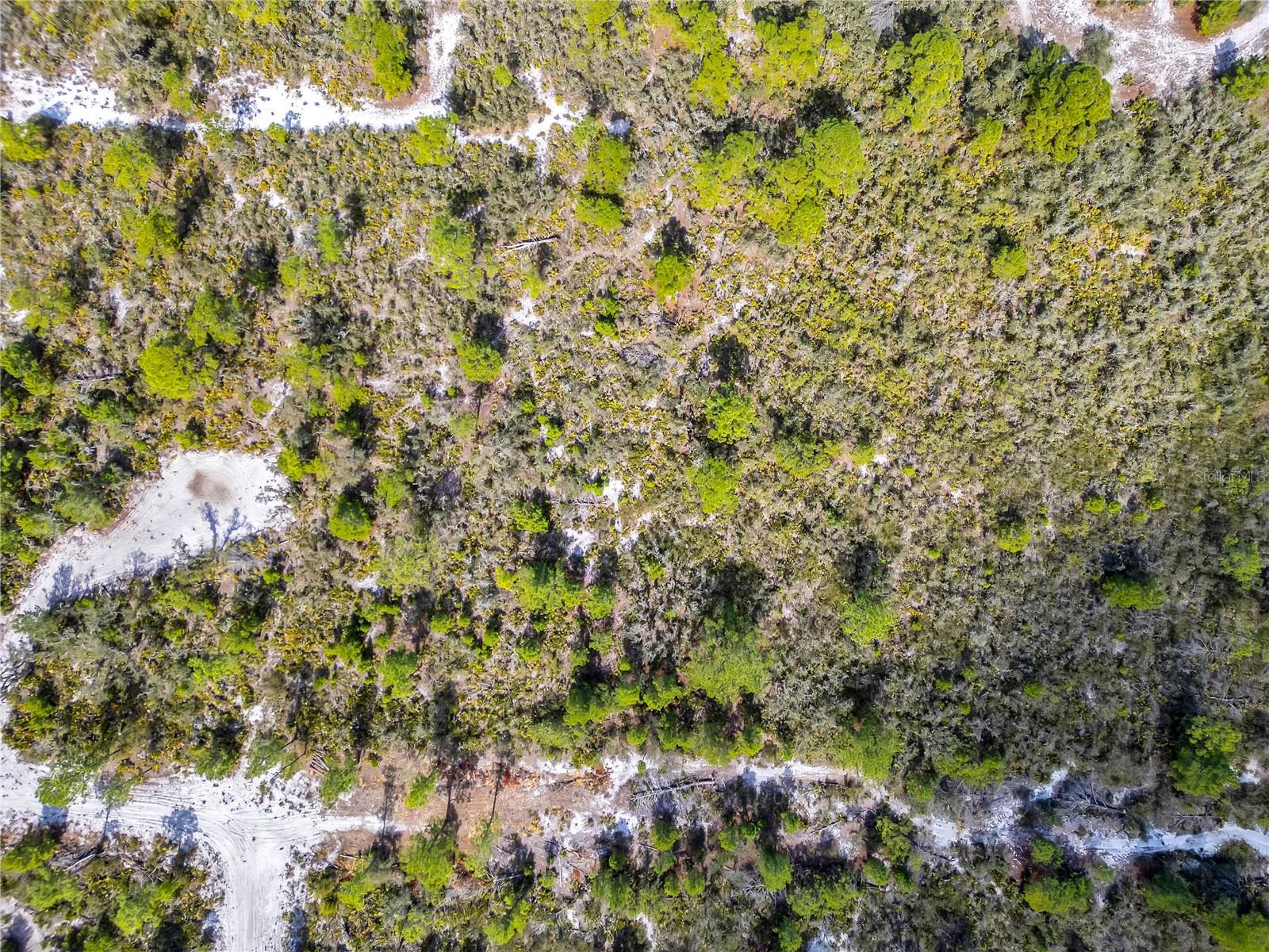 Image 26 of 28 For 4000 Lomonico Road