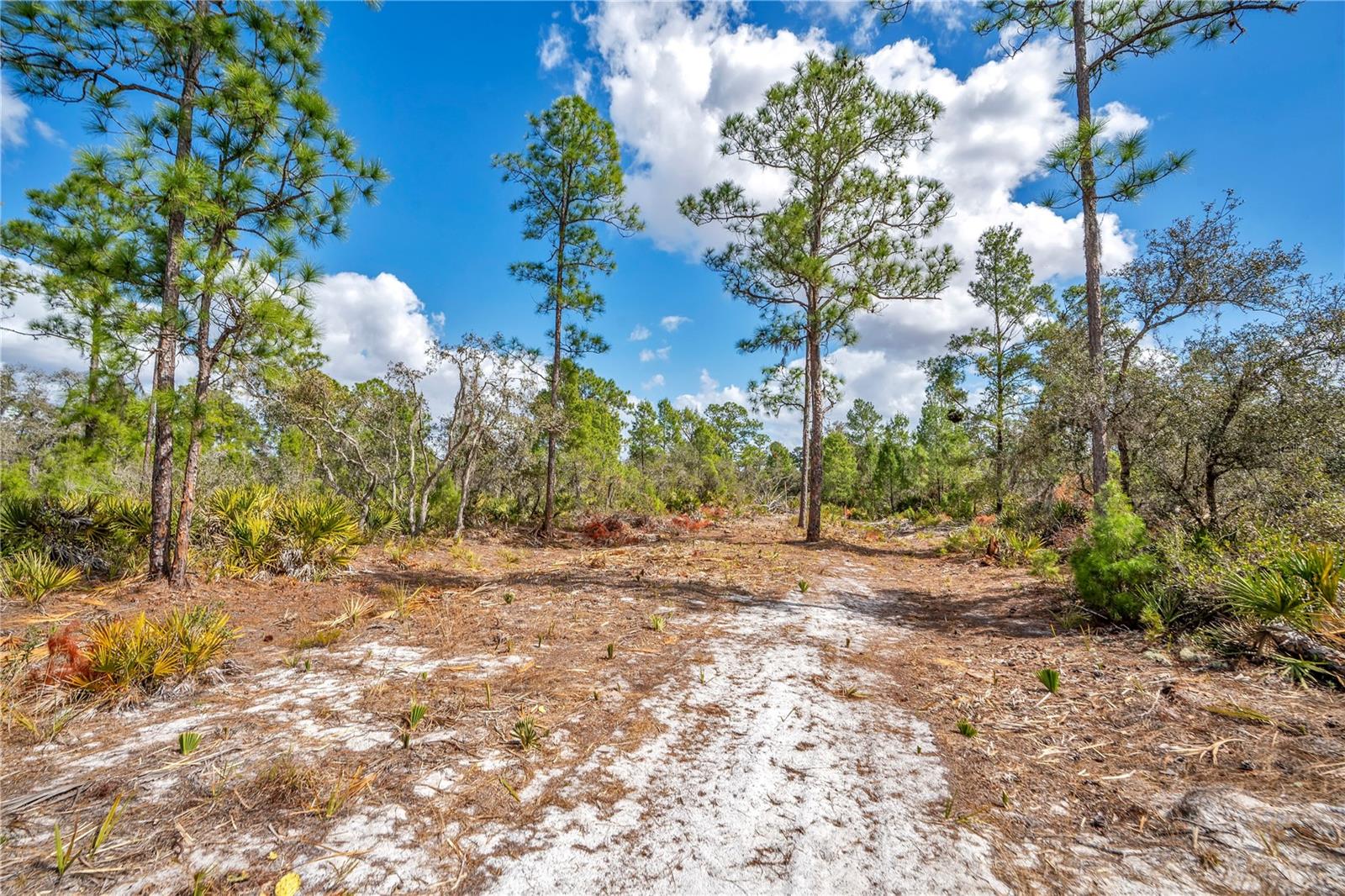 Image 4 of 28 For 4000 Lomonico Road