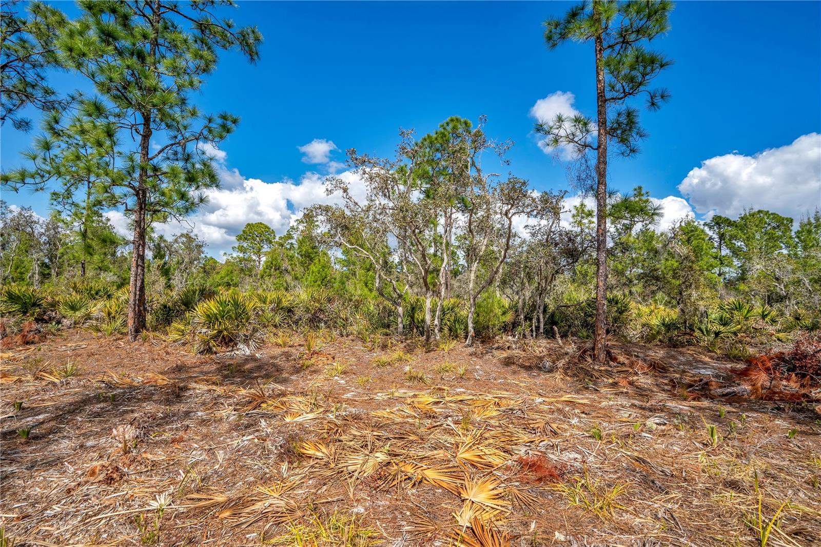 Image 6 of 28 For 4000 Lomonico Road