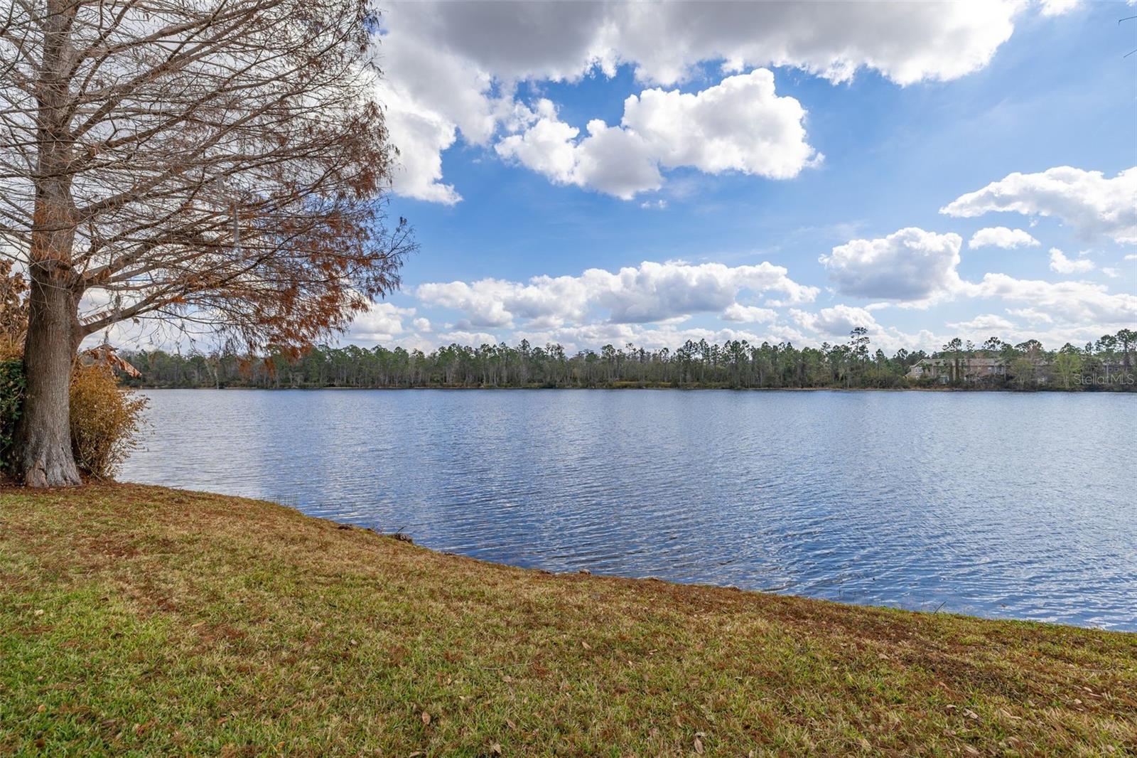 Image 61 of 65 For 9484 Walnut Crest Drive