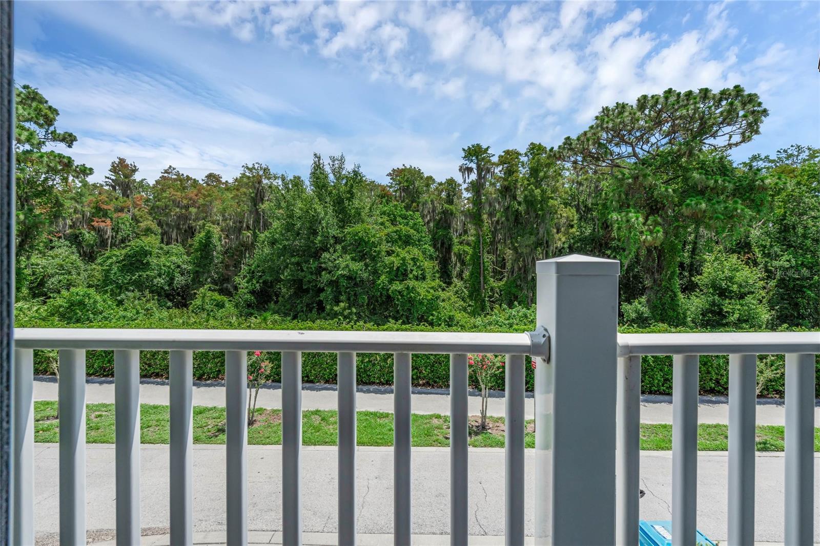 Image 25 of 37 For 10802 Eclipse Lily Way 50a