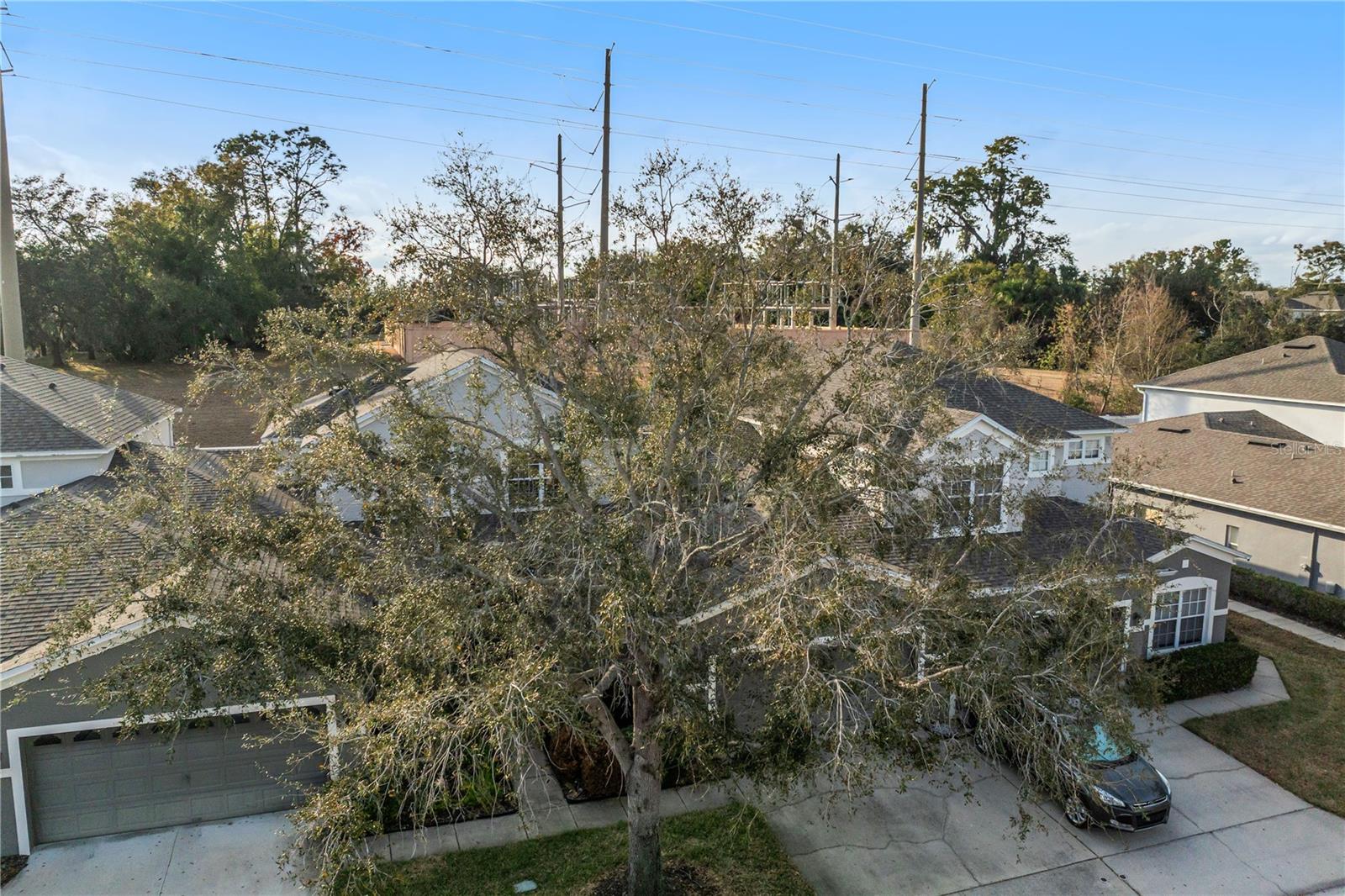Image 42 of 58 For 1124 Travertine Terrace