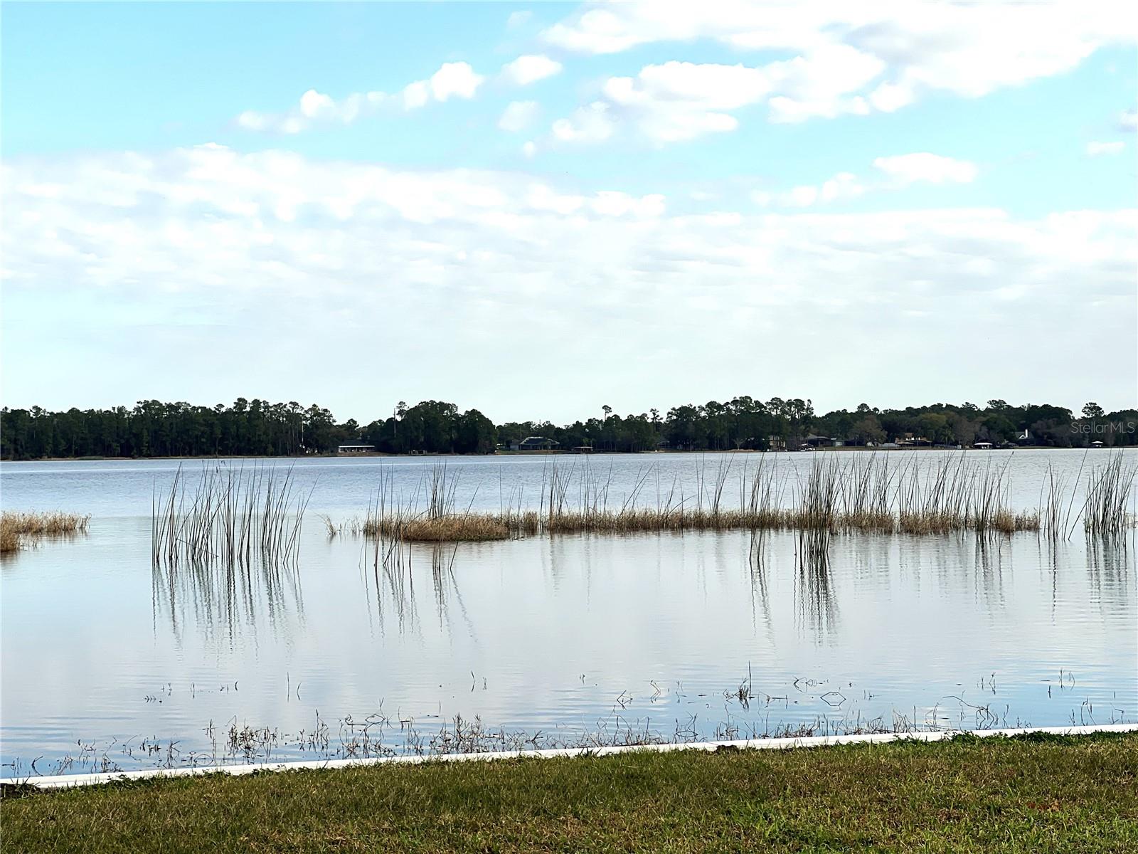 Image 9 of 18 For 1305 Pine Island Drive N