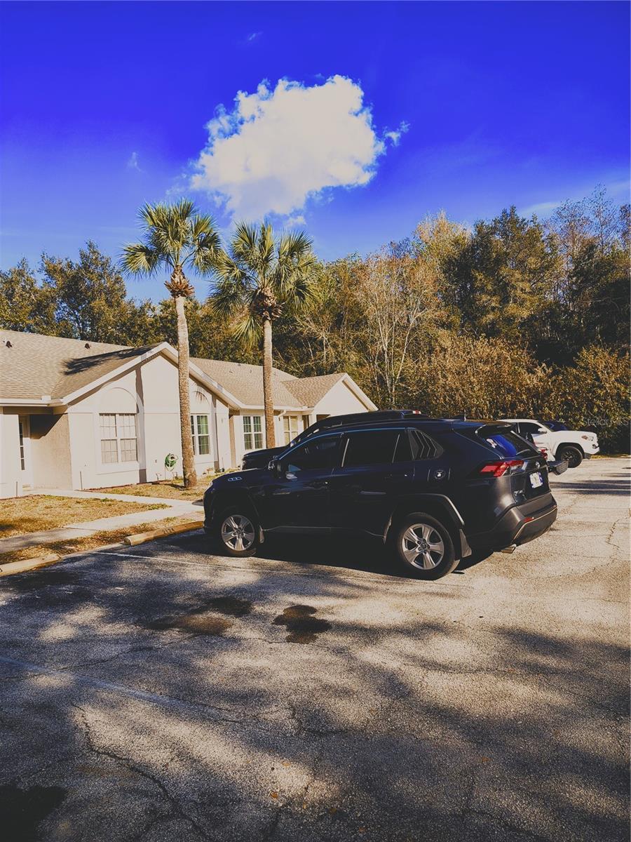 Image 4 of 13 For 2124 Cypress Bay Boulevard