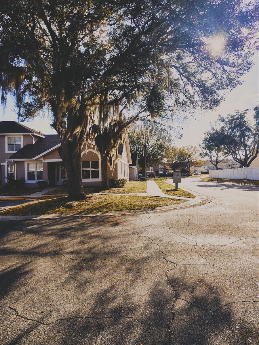 Image 5 of 13 For 2124 Cypress Bay Boulevard