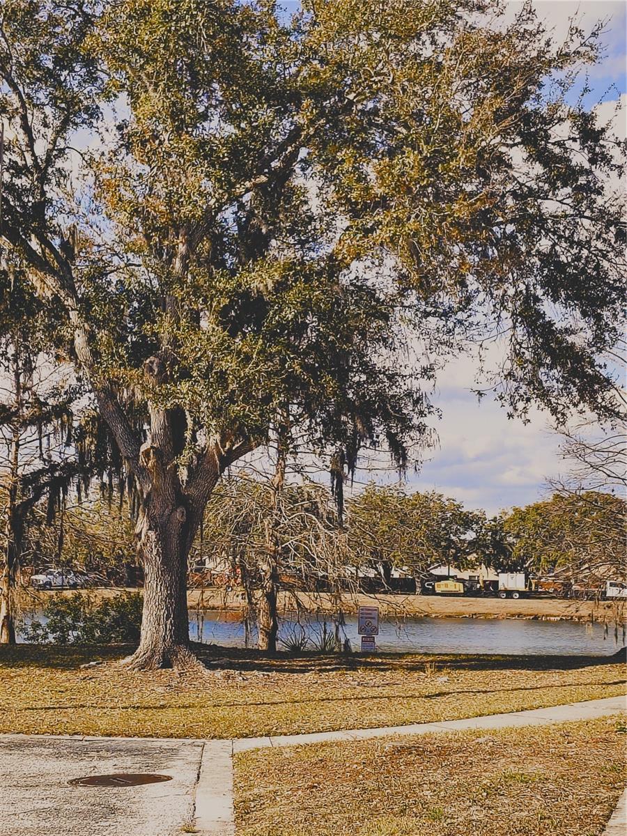 Image 7 of 13 For 2124 Cypress Bay Boulevard