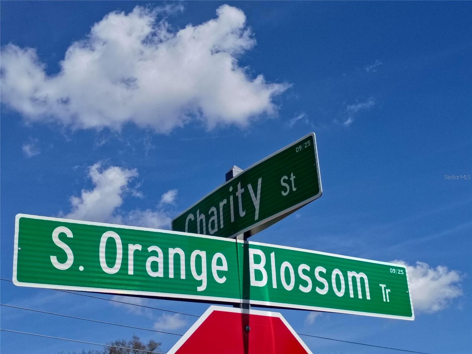 Image 2 of 7 For 5574 Orange Blossom Trail