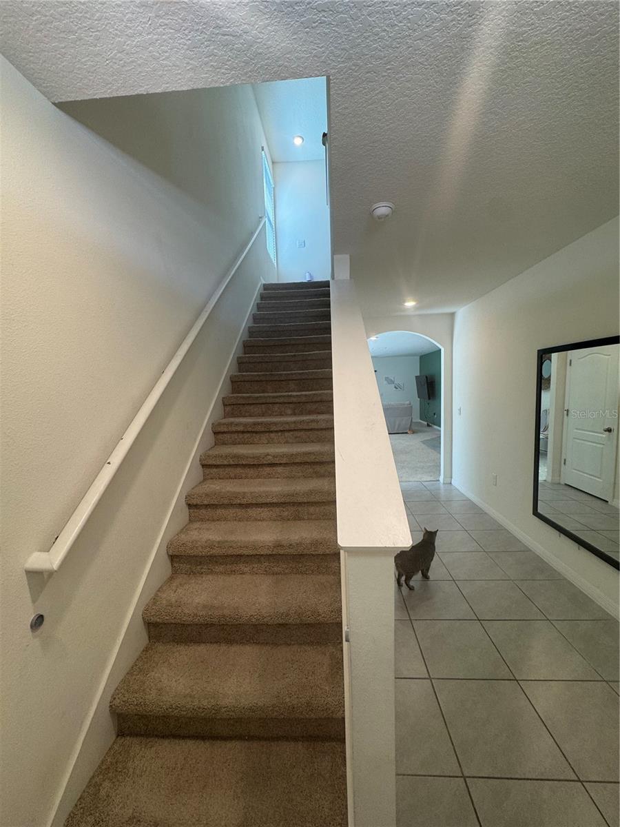 Image 5 of 30 For 2955 Turnstone Run