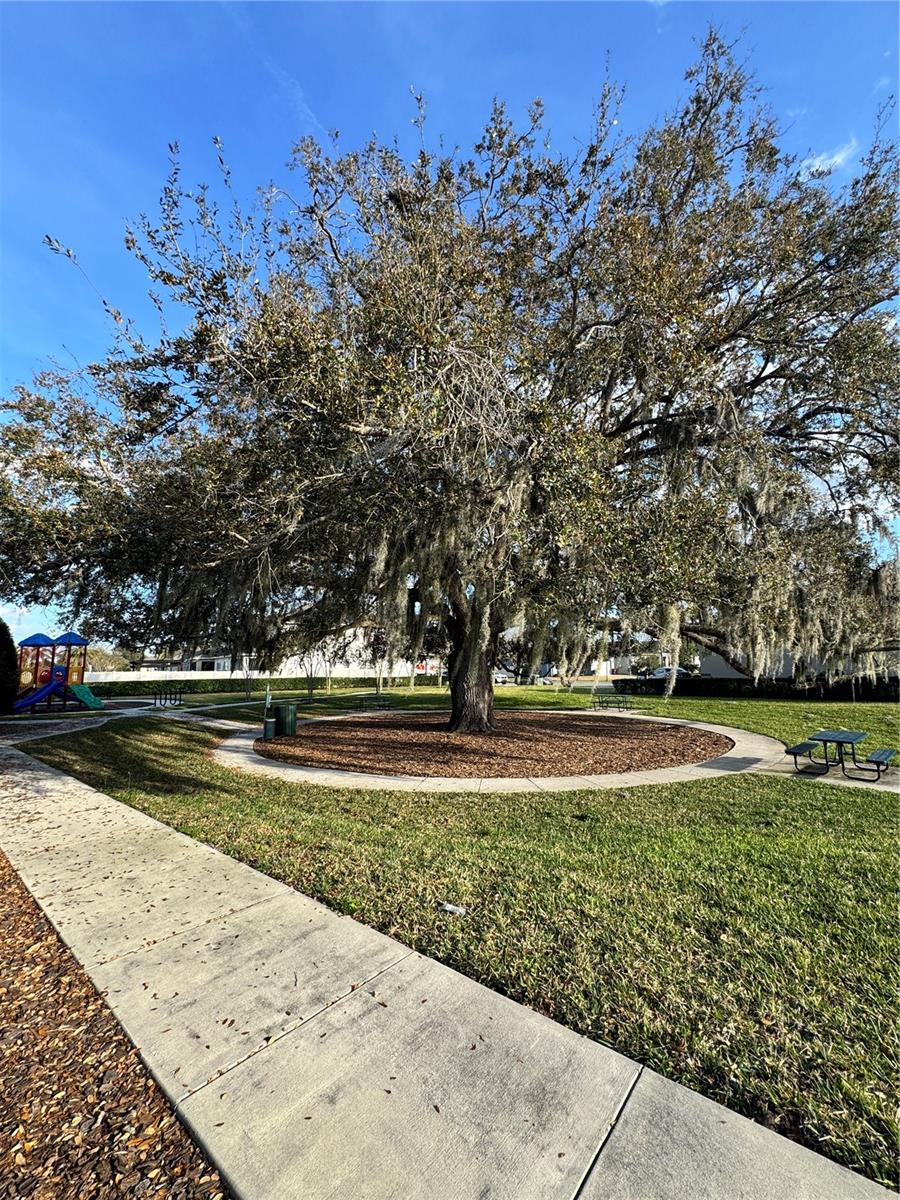 Image 28 of 28 For 5371 Jubiloso Drive