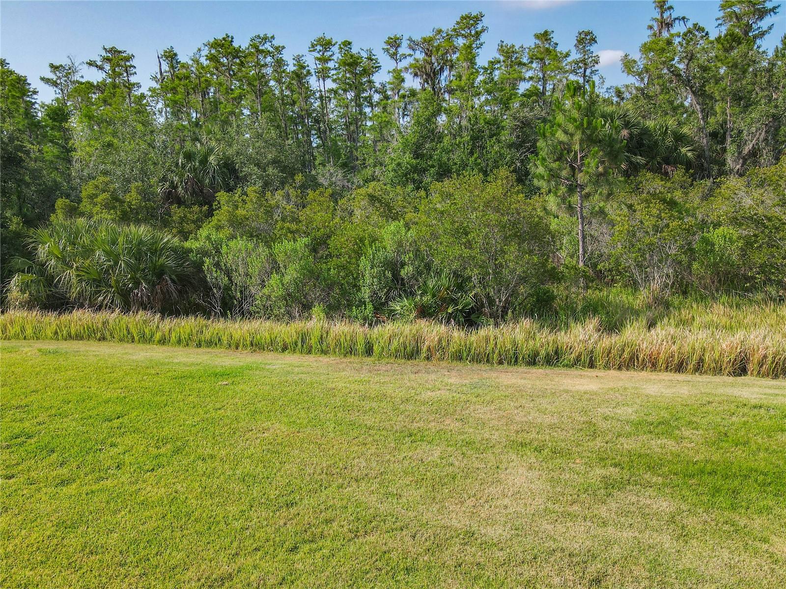 Image 52 of 81 For 819 San Raphael Street