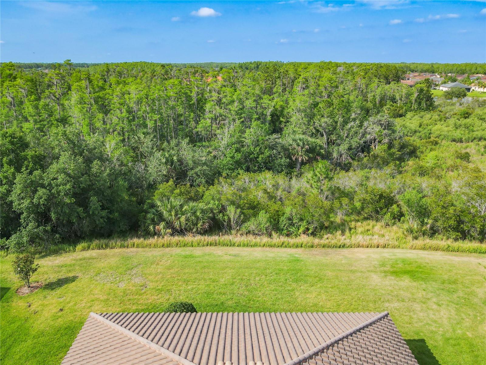 Image 56 of 81 For 819 San Raphael Street