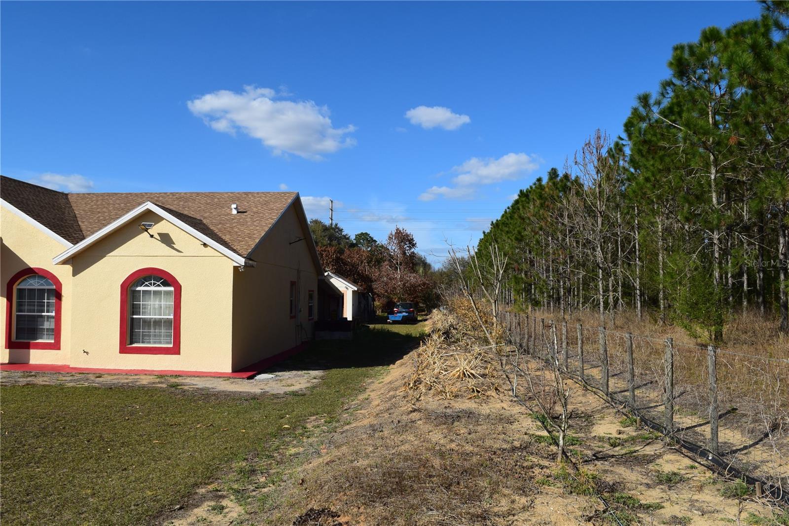 Image 11 of 76 For 7901 Cherry Lake Groves Road