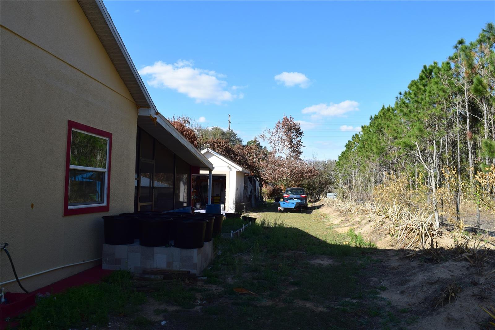 Image 14 of 76 For 7901 Cherry Lake Groves Road