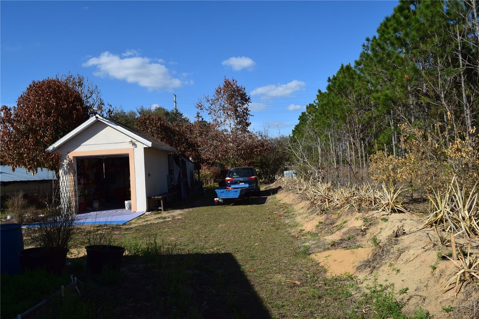 Image 16 of 76 For 7901 Cherry Lake Groves Road