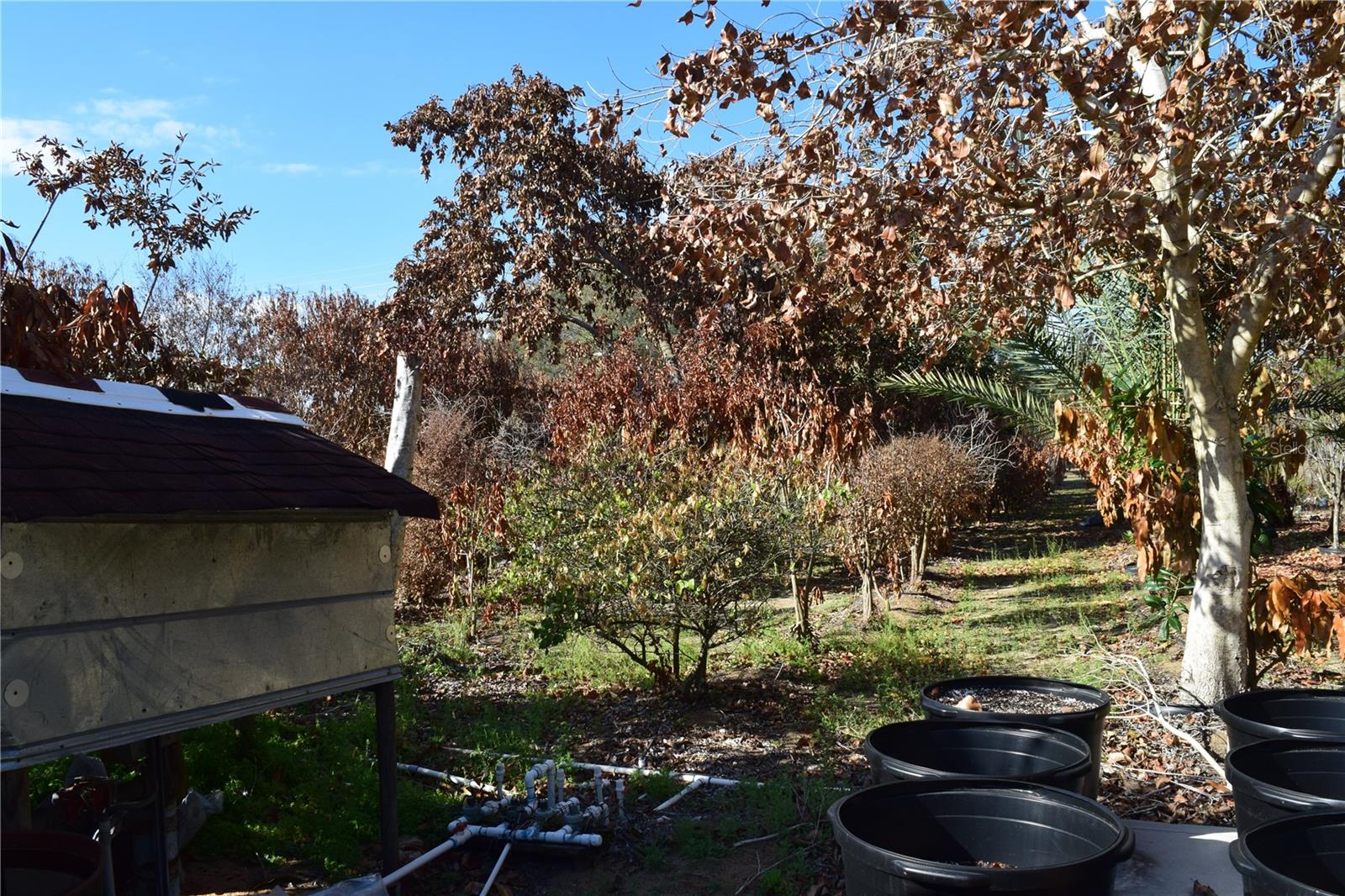 Image 21 of 76 For 7901 Cherry Lake Groves Road