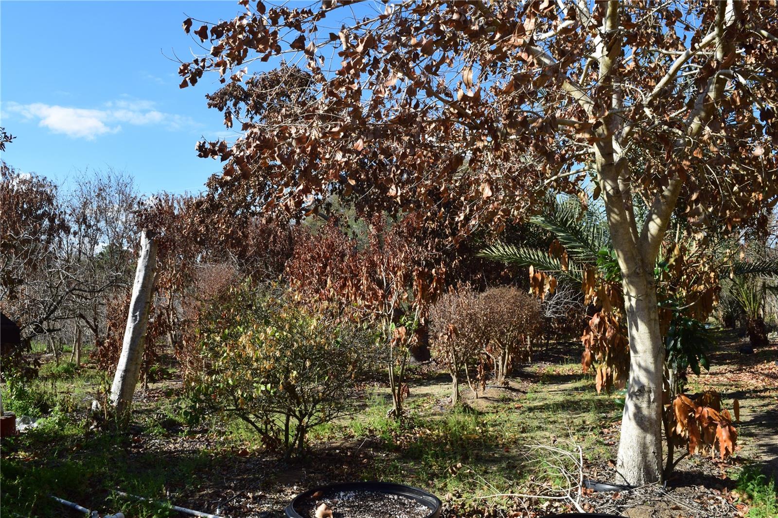 Image 24 of 76 For 7901 Cherry Lake Groves Road