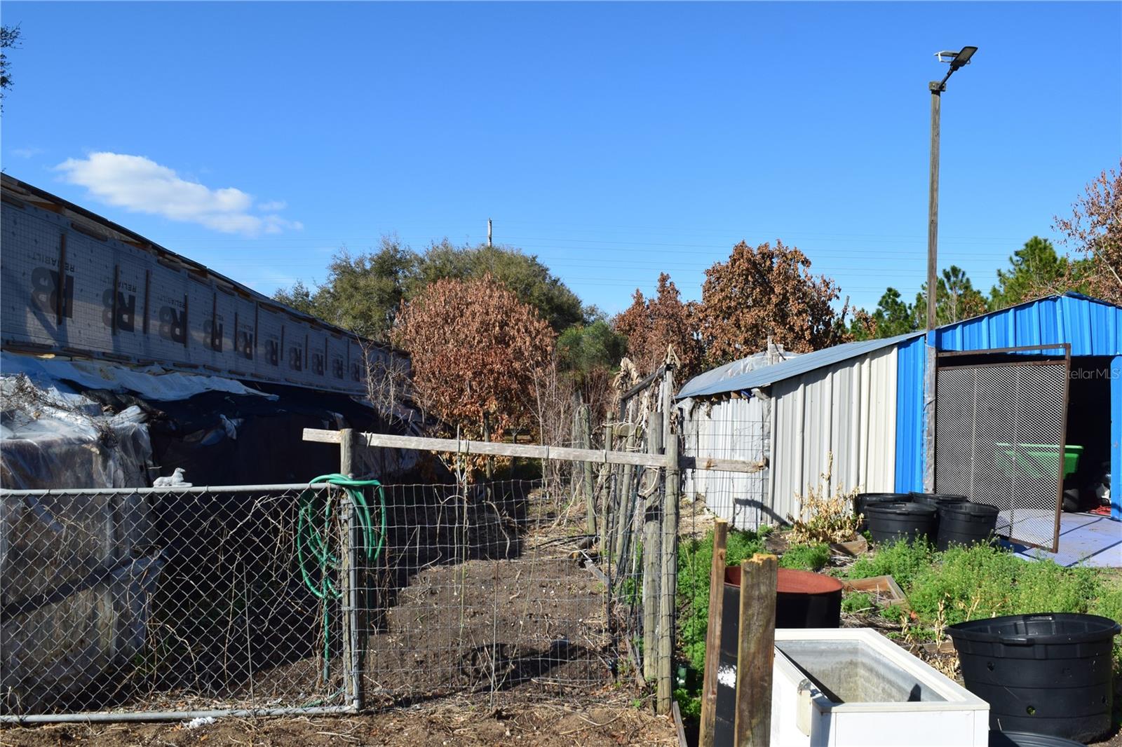 Image 32 of 76 For 7901 Cherry Lake Groves Road