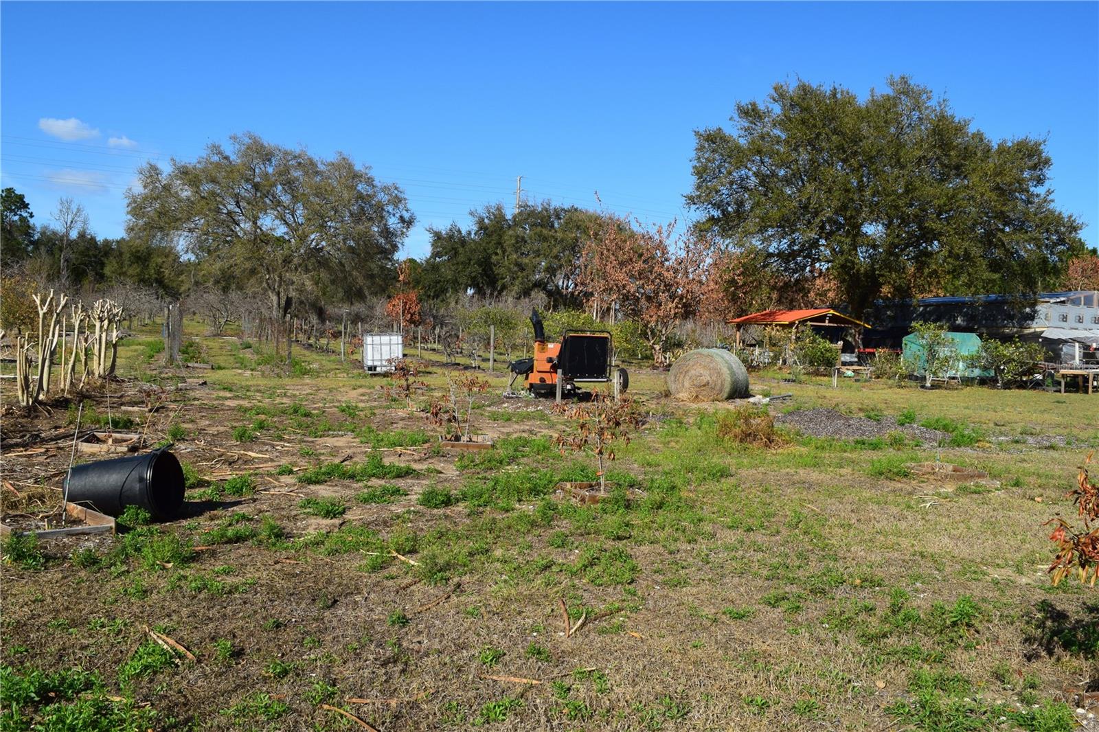 Image 39 of 76 For 7901 Cherry Lake Groves Road