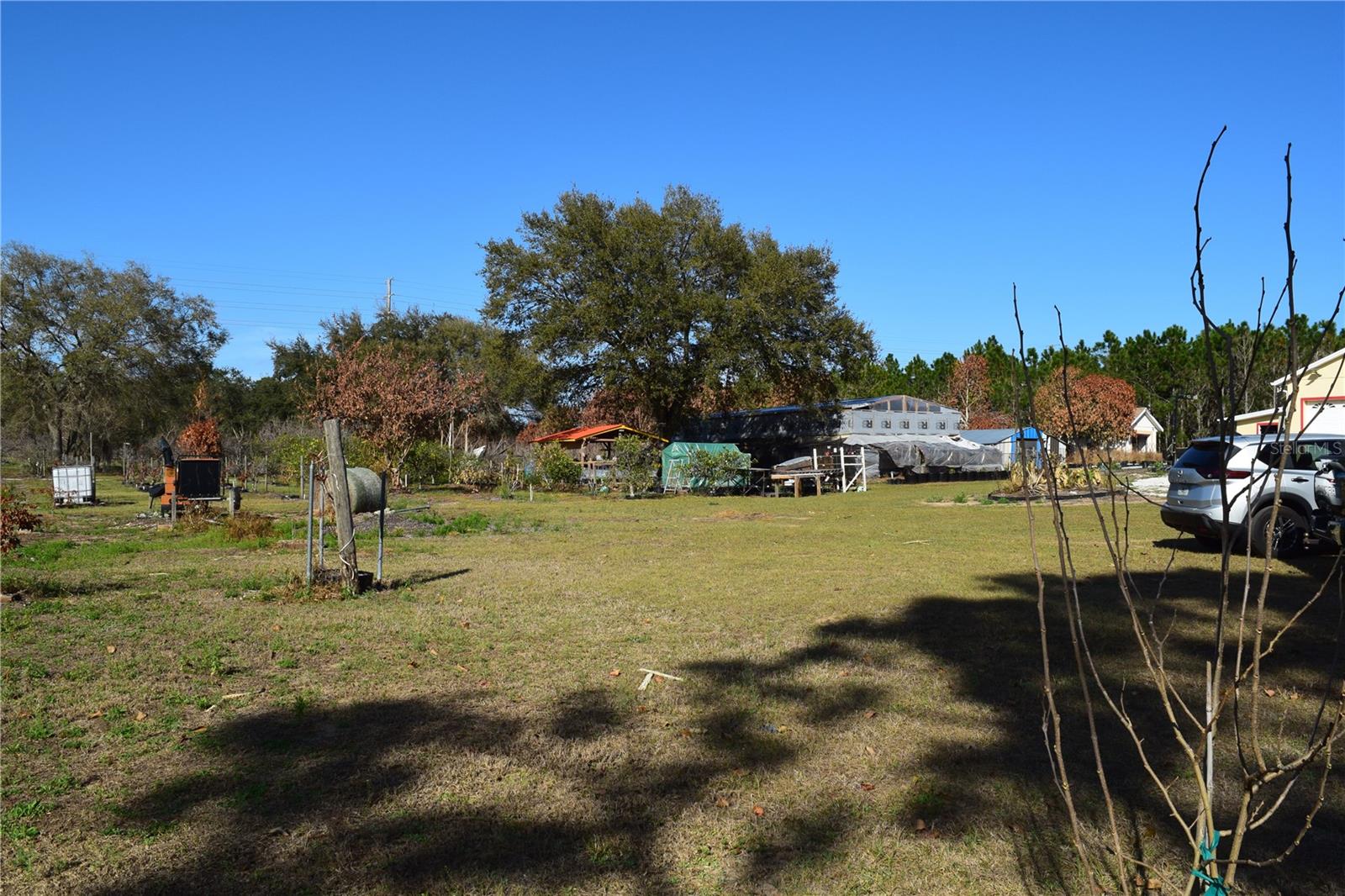 Image 41 of 76 For 7901 Cherry Lake Groves Road