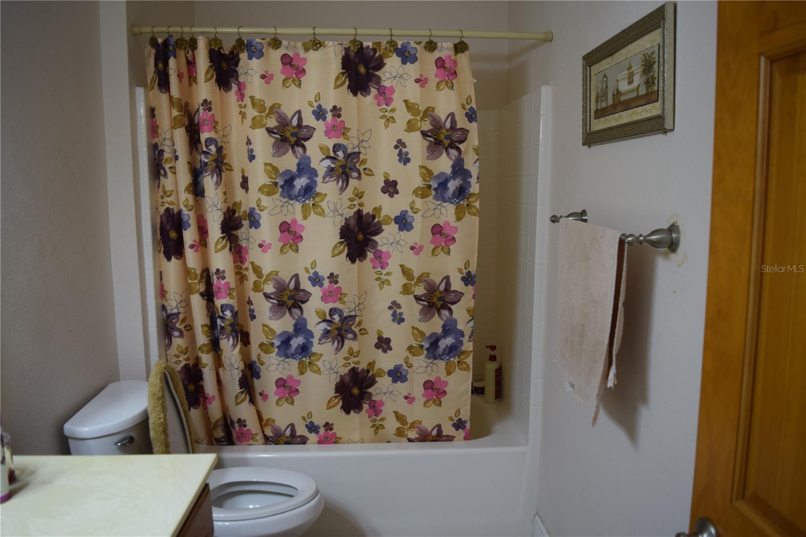 Image 65 of 76 For 7901 Cherry Lake Groves Road