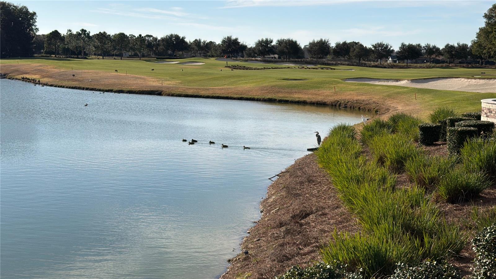 Image 25 of 44 For 4158 48th Terrace Road