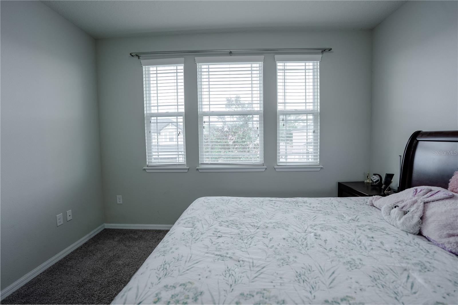 Image 53 of 77 For 2963 Sera Bella Way