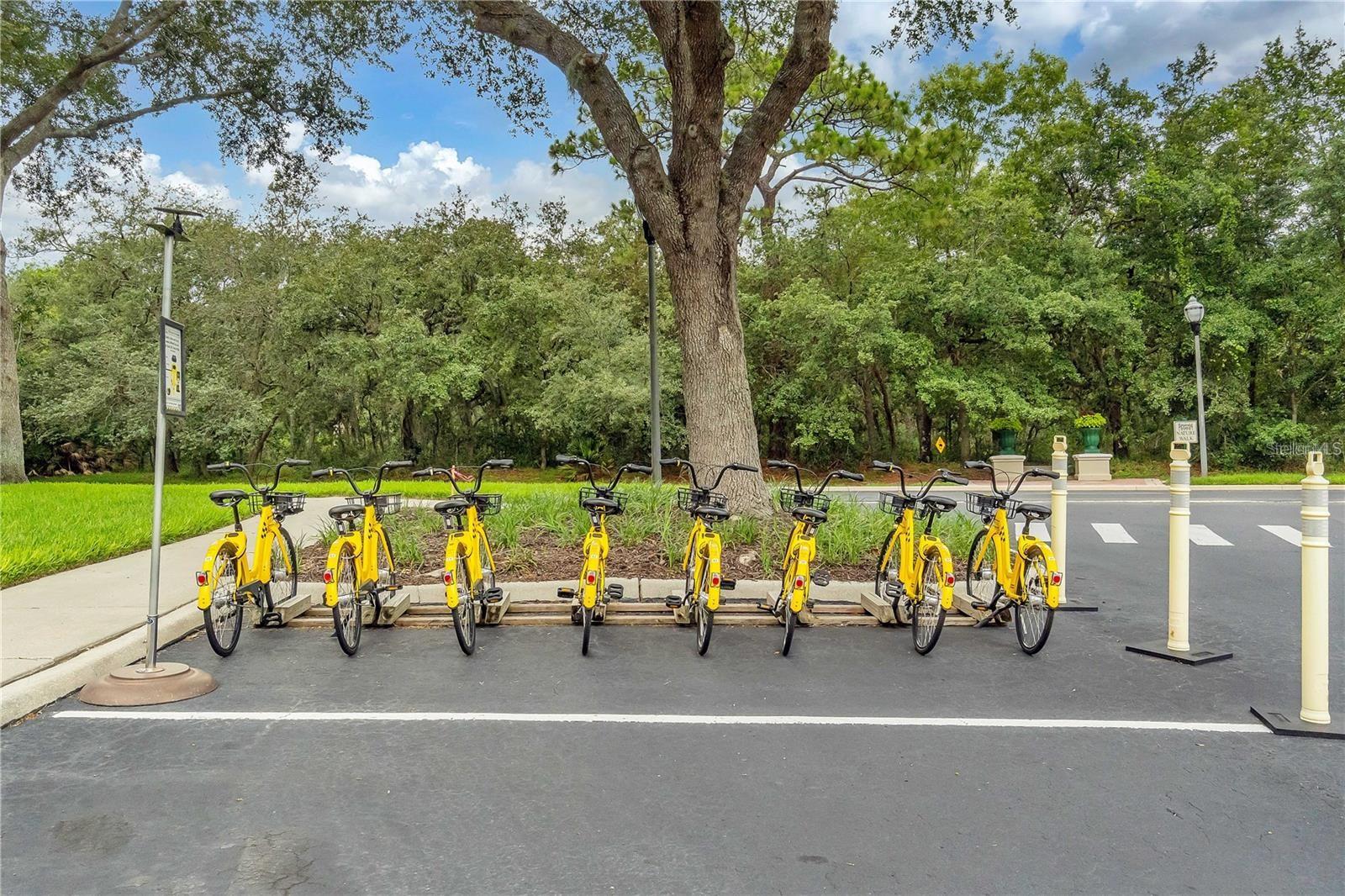 Image 41 of 45 For 8411 Crystal Cove Loop