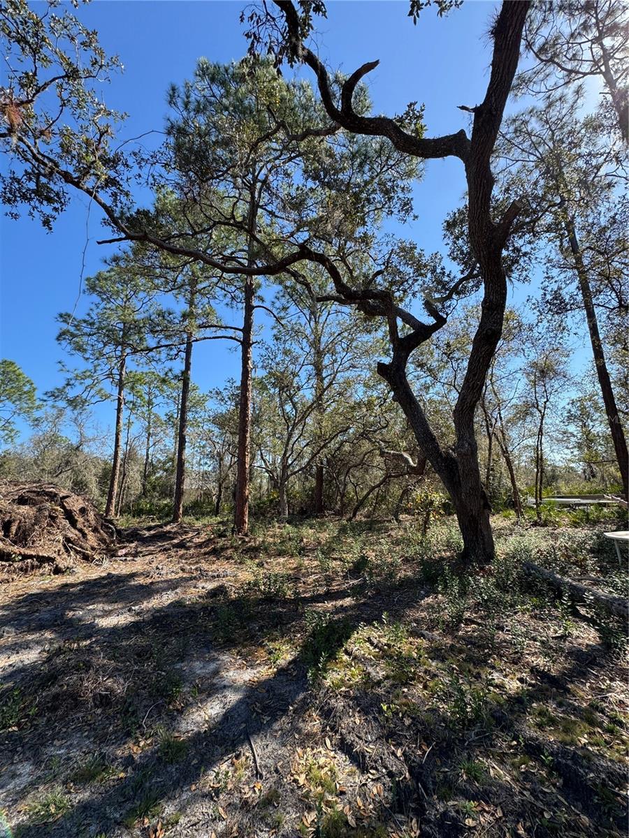 Image 10 of 17 For South Shore Dr