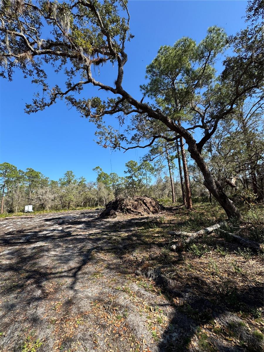 Image 11 of 17 For South Shore Dr