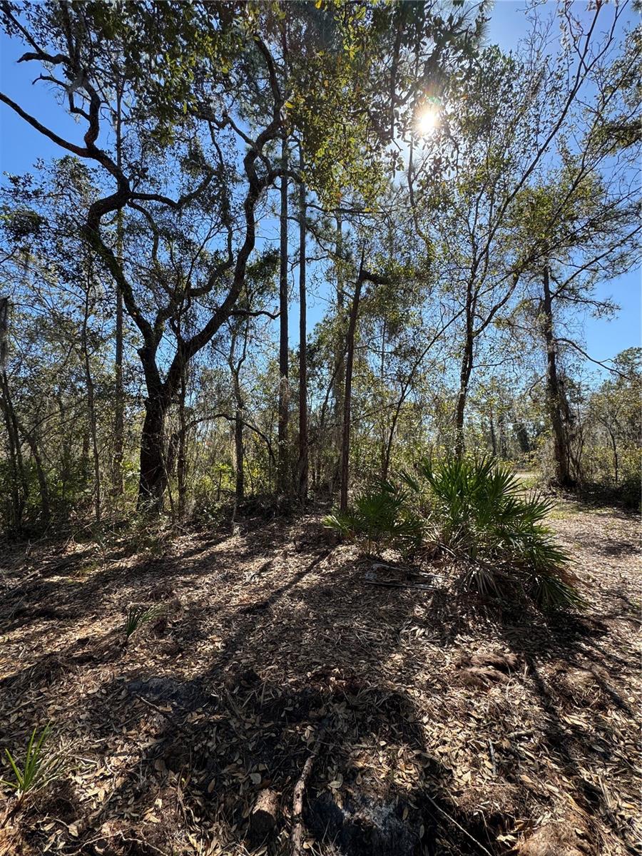 Image 13 of 17 For South Shore Dr