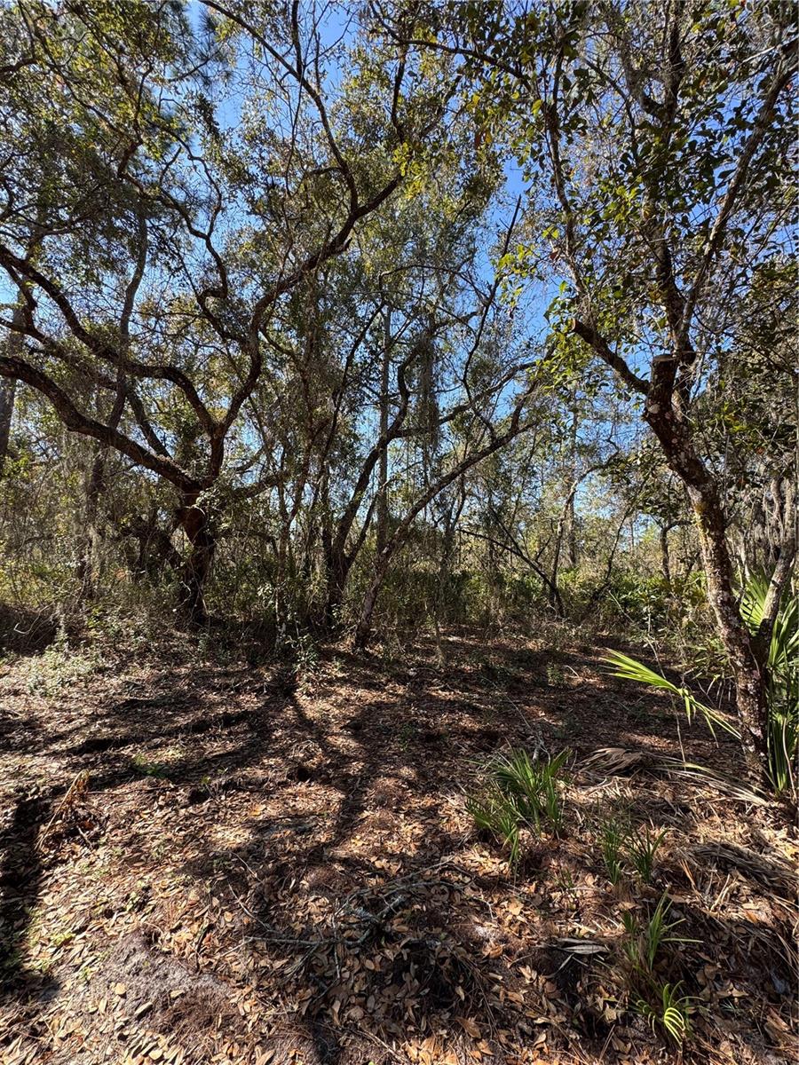 Image 14 of 17 For South Shore Dr