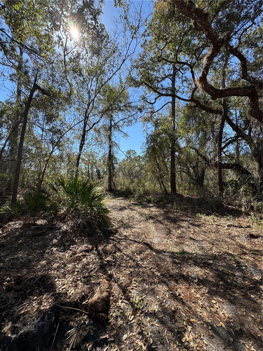 Image 16 of 17 For South Shore Dr