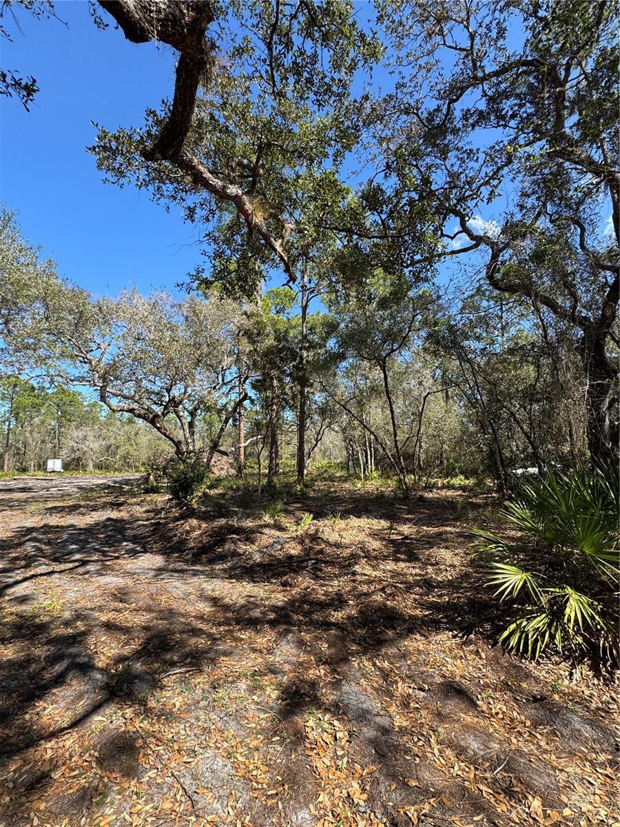 Image 2 of 17 For South Shore Dr