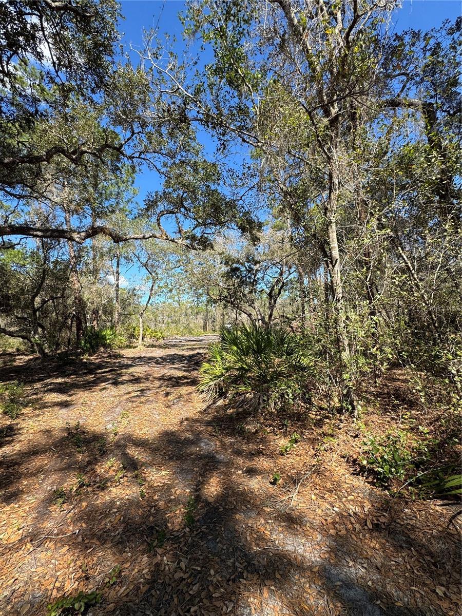 Image 5 of 17 For South Shore Dr