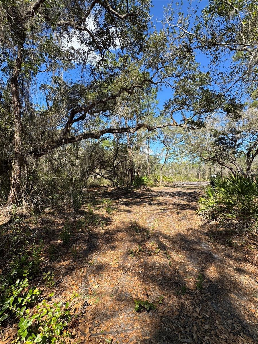 Image 6 of 17 For South Shore Dr