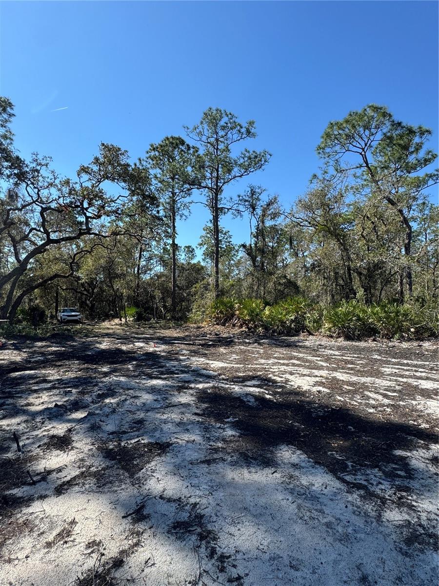 Image 8 of 17 For South Shore Dr