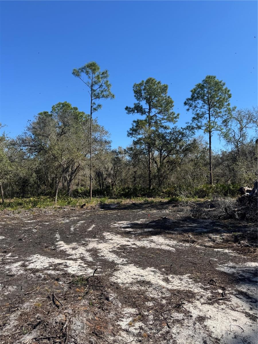 Image 9 of 17 For South Shore Dr