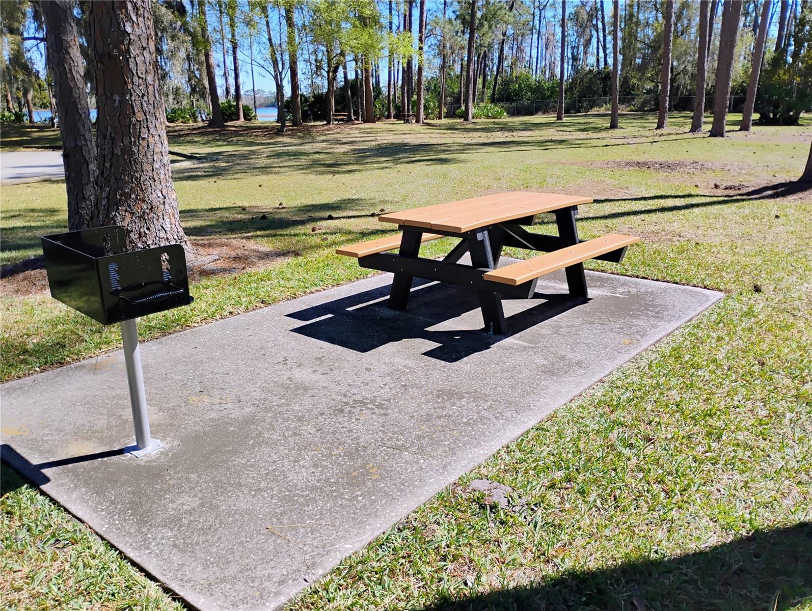 Image 10 of 19 For 241 Lake Trout