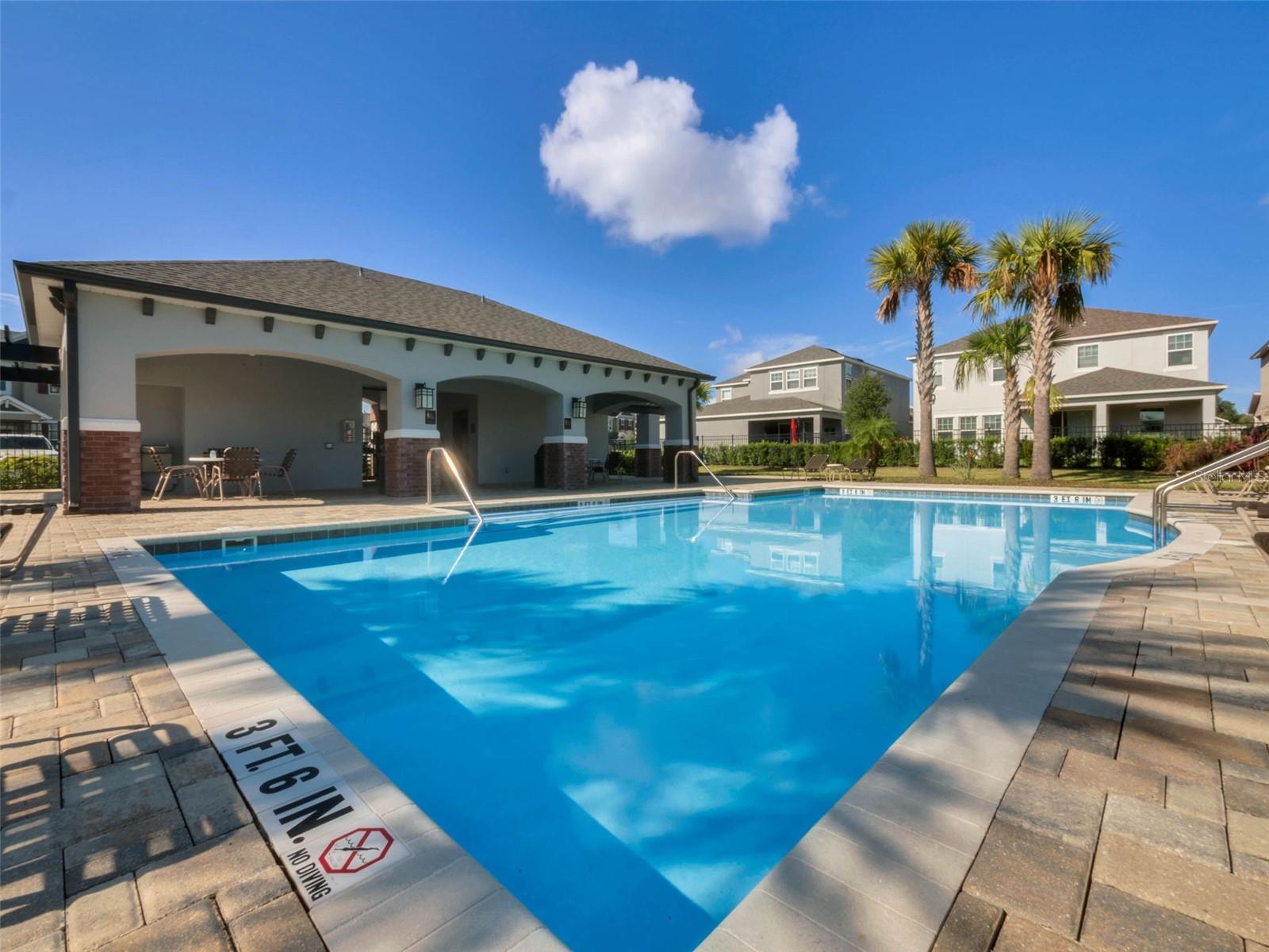 Image 55 of 61 For 648 Orange Belt Loop