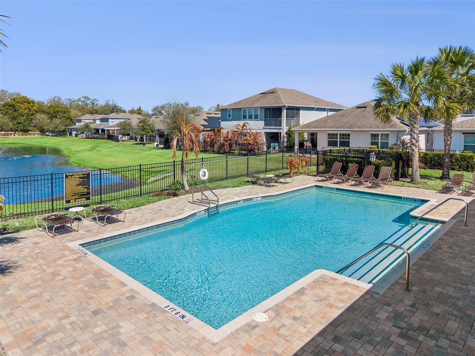 Image 56 of 61 For 648 Orange Belt Loop