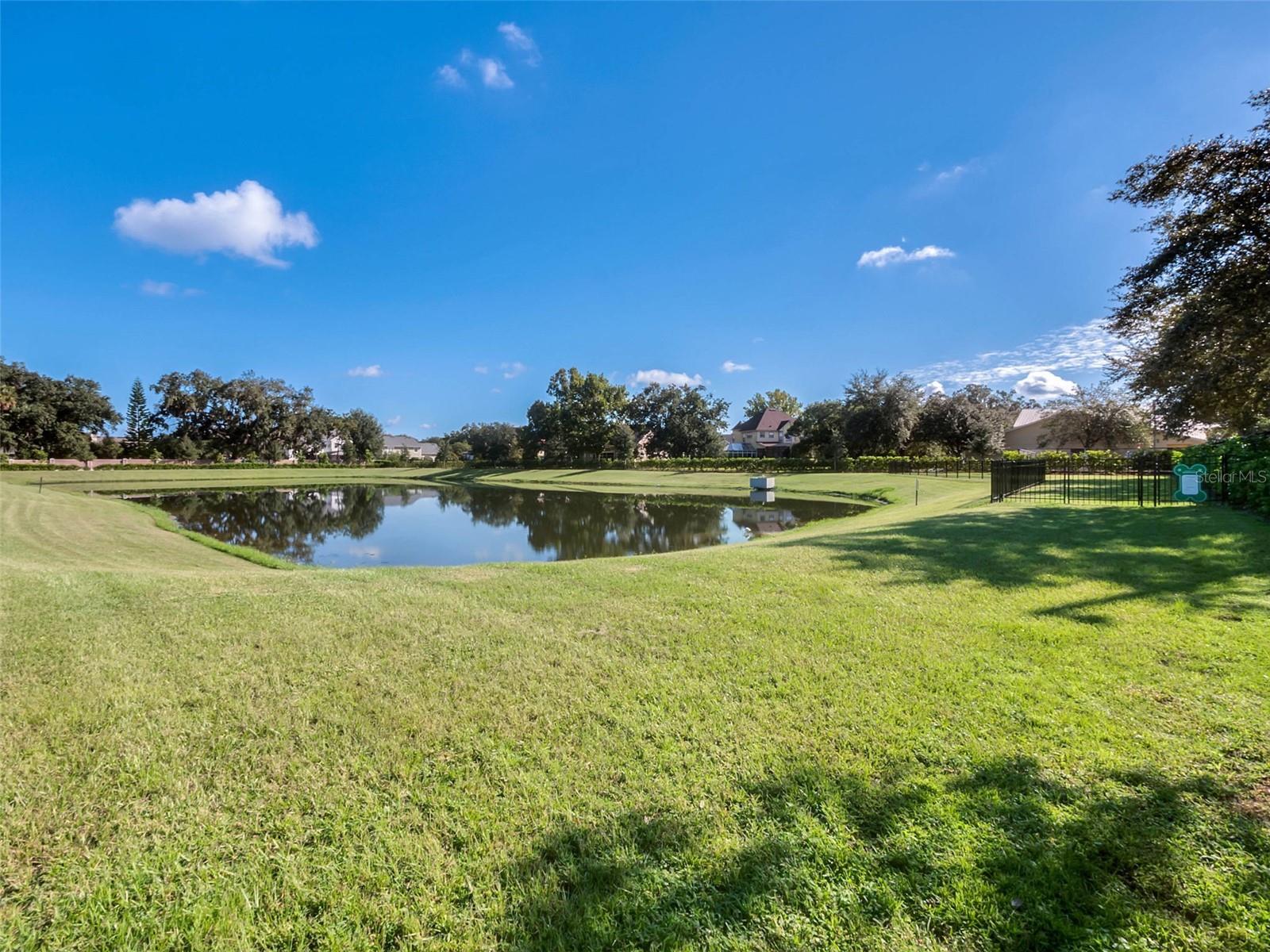 Image 59 of 61 For 648 Orange Belt Loop