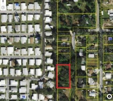 Image 4 of 5 For Almond Avenue