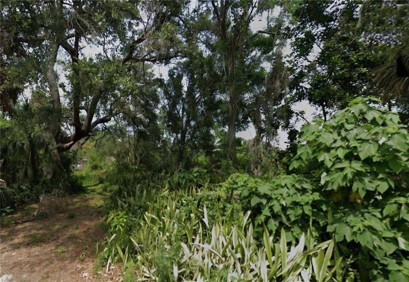 Image 5 of 5 For Almond Avenue