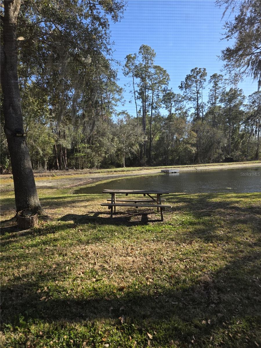 Image 10 of 11 For 35138 Meadow Reach Drive