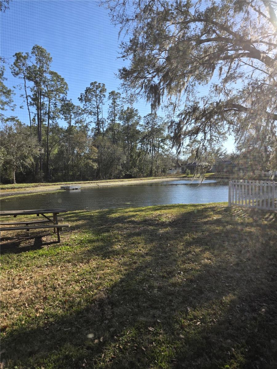 Image 11 of 11 For 35138 Meadow Reach Drive