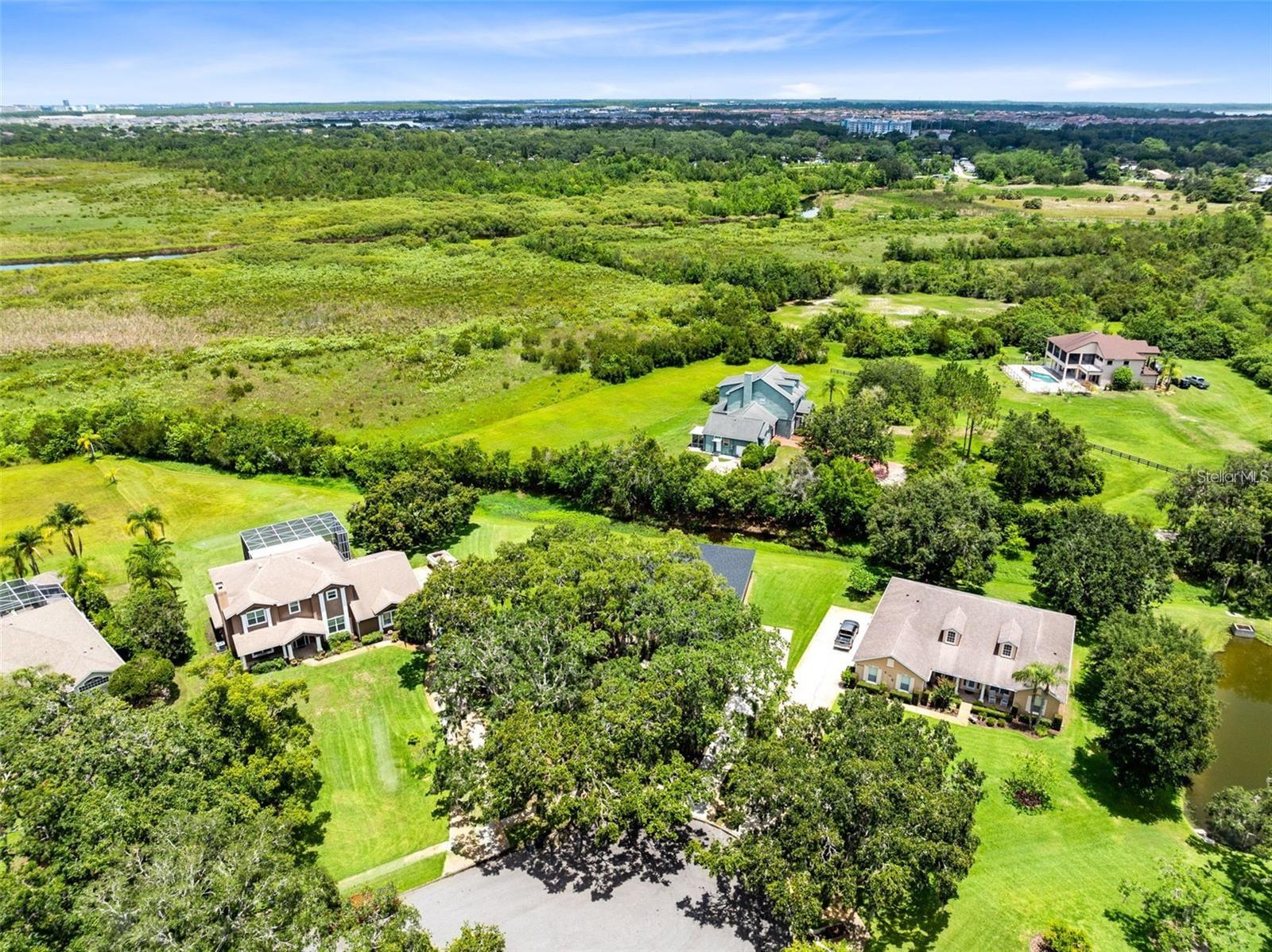 Image 5 of 35 For 5204 Hammock Pointe Court